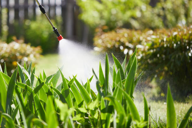 24/7 Emergency Rodent Control experts in McCalla, AL