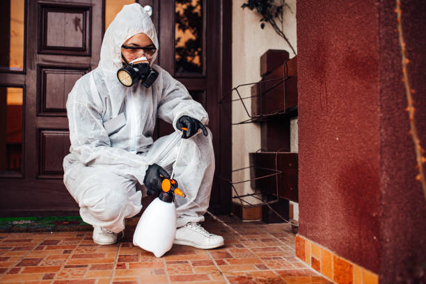 Reliable Rodent Control contractor in McCalla, AL by Nex Pest Control