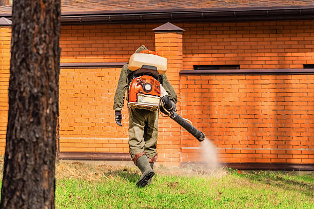 Trusted Bed Bug Control service in McCalla, AL - Nex Pest Control